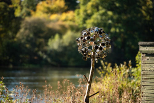 JessicaRost YSP Flower-13