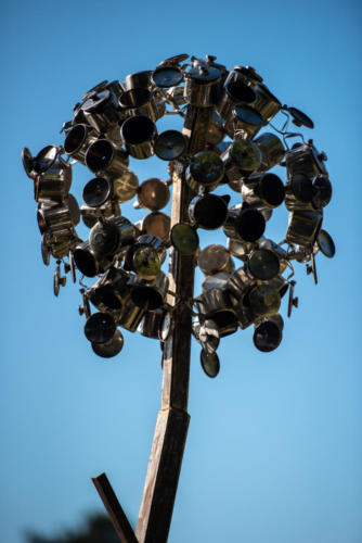 JessicaRost YSP Flower-15
